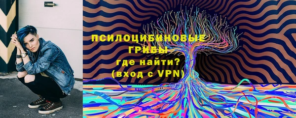 стафф Бородино