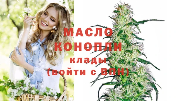стафф Бородино