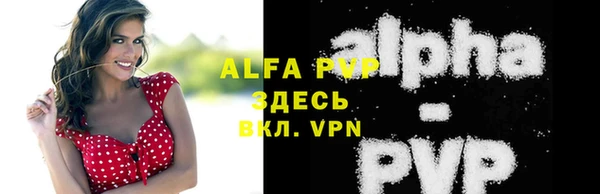 стафф Бородино