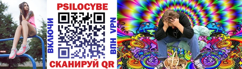 что такое   Липки  Галлюциногенные грибы Magic Shrooms 